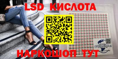молекула духа Камышлов