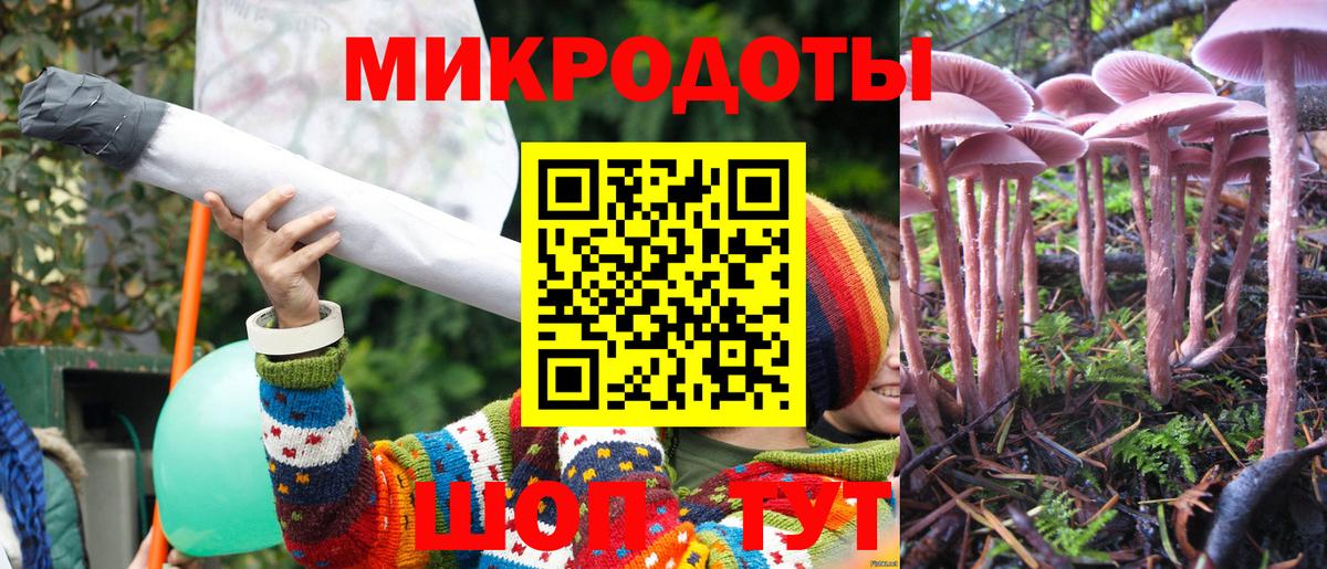 Куйбышев  Псилоцибиновые грибы MAGIC MUSHROOMS  Вход с VPN 